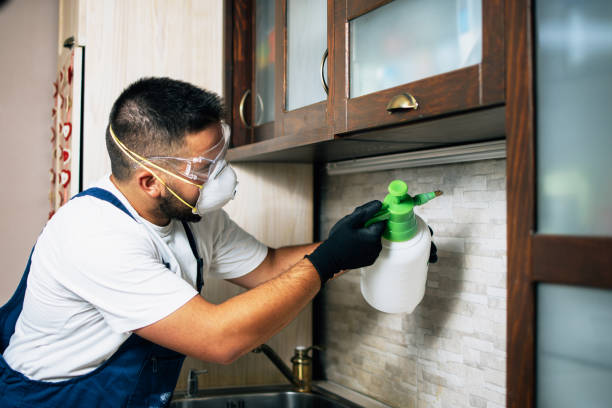 Best Pest Inspection Near Me  in Jurupa Valley, CA