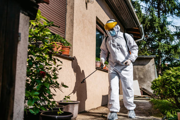 Best Pest Prevention Services  in Jurupa Valley, CA