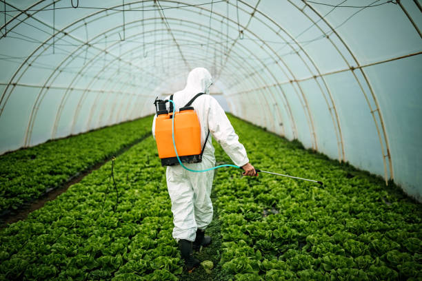 Best Mosquito Control Services  in Jurupa Valley, CA