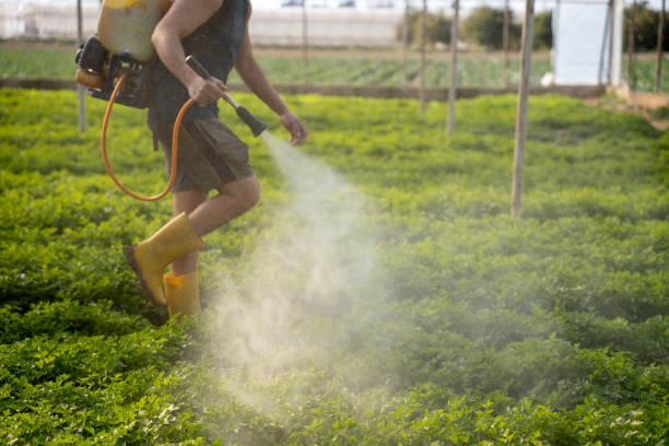 Bird Control in Jurupa Valley, CA