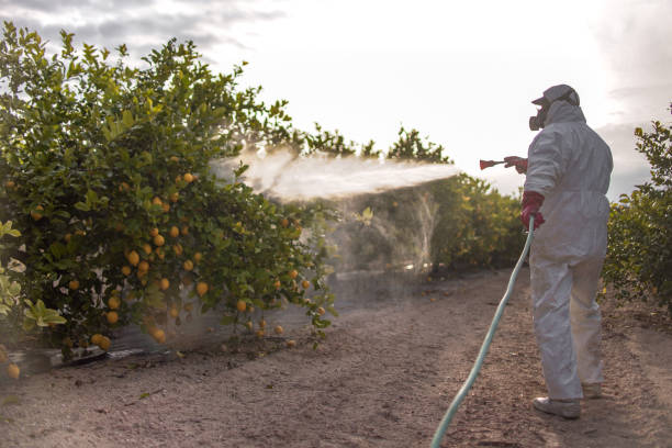 Best Commercial Pest Control Services  in Jurupa Valley, CA