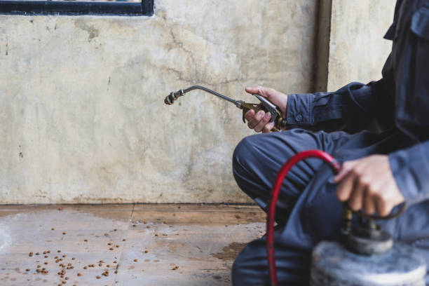 Reliable Jurupa Valley, CA Pest Control Solutions